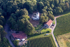Vue aérienne de Quartier Dittelsheim in Dittelsheim-Heßloch dans le département Rhénanie-Palatinat, Allemagne