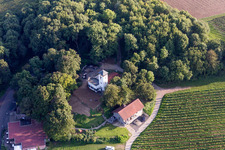 Photographie aérienne de Quartier Dittelsheim in Dittelsheim-Heßloch dans le département Rhénanie-Palatinat, Allemagne