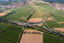 Vue aérienne de A65 sortie Landau-Nord à le quartier Dammheim in Landau in der Pfalz dans le département Rhénanie-Palatinat, Allemagne