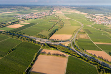 Vue aérienne de A65 sortie Landau-Nord à le quartier Dammheim in Landau in der Pfalz dans le département Rhénanie-Palatinat, Allemagne