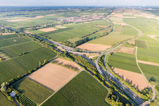Photographie aérienne de A65 sortie Landau-Nord à le quartier Dammheim in Landau in der Pfalz dans le département Rhénanie-Palatinat, Allemagne