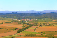 Vue aérienne de Haies à Otterbach à Oberotterbach dans le département Rhénanie-Palatinat, Allemagne