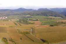 Quartier Rechtenbach in Schweigen-Rechtenbach dans le département Rhénanie-Palatinat, Allemagne vue du ciel