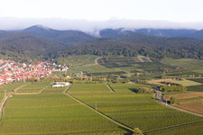 Image drone de Quartier Rechtenbach in Schweigen-Rechtenbach dans le département Rhénanie-Palatinat, Allemagne