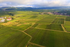 Vue aérienne de Vignobles à le quartier Ilbesheim in Ilbesheim bei Landau in der Pfalz dans le département Rhénanie-Palatinat, Allemagne