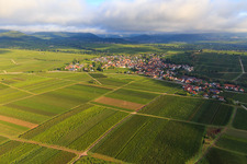 Vue aérienne de Vignobles à la limite sud du village à le quartier Ilbesheim in Ilbesheim bei Landau in der Pfalz dans le département Rhénanie-Palatinat, Allemagne