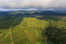 Vue aérienne de Ranschbachtal vu de l'est à le quartier Arzheim in Landau in der Pfalz dans le département Rhénanie-Palatinat, Allemagne