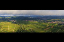 Vue aérienne de Panorama des vignobles entre Ranschbach et Siebeldingen à le quartier Arzheim in Landau in der Pfalz dans le département Rhénanie-Palatinat, Allemagne