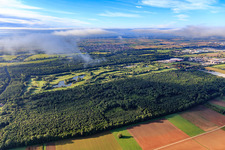 Terrain de golf à Essingen dans le département Rhénanie-Palatinat, Allemagne d'en haut