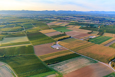 Vue oblique de Fondation du parc éolien EnBW Freckenfeld - pour éolienne avec 6 éoliennes à Freckenfeld dans le département Rhénanie-Palatinat, Allemagne