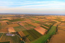 Fondation du parc éolien EnBW Freckenfeld - pour éolienne avec 6 éoliennes à Freckenfeld dans le département Rhénanie-Palatinat, Allemagne d'en haut