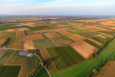 Fondation du parc éolien EnBW Freckenfeld - pour éolienne avec 6 éoliennes à Freckenfeld dans le département Rhénanie-Palatinat, Allemagne vue d'en haut