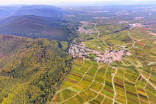 Vue aérienne de Village viticole du sud à Frankweiler dans le département Rhénanie-Palatinat, Allemagne