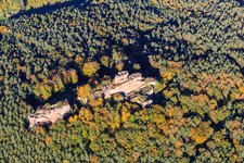 Photographie aérienne de Ruines du château de Drachenfels à Busenberg dans le département Rhénanie-Palatinat, Allemagne