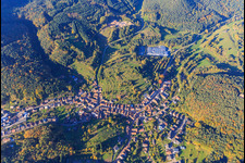 Vue aérienne de Aperçu du village avec Lugina Schuhfabrik GmbH à Schwanheim dans le département Rhénanie-Palatinat, Allemagne