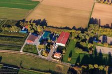 Photographie aérienne de Obsthof Zirker KG à Herxheim bei Landau dans le département Rhénanie-Palatinat, Allemagne