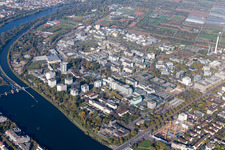 Vue aérienne de Neueneimer Feld, Université à le quartier Neuenheim in Heidelberg dans le département Bade-Wurtemberg, Allemagne