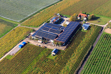 Vue aérienne de Domaine viticole Pfaffmann Impflingen à Impflingen dans le département Rhénanie-Palatinat, Allemagne