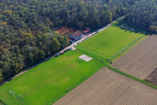 Vue aérienne de Terrains de sport du TSV 1908 Freckenfeld depuis le nord-ouest à Freckenfeld dans le département Rhénanie-Palatinat, Allemagne