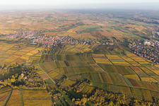Vue aérienne de Vignobles Sonnenberg en Schweigen à le quartier Schweigen in Schweigen-Rechtenbach dans le département Rhénanie-Palatinat, Allemagne