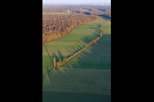 Vue aérienne de Plaines de Bruchbach / Otterbach vues de l'ouest à Freckenfeld dans le département Rhénanie-Palatinat, Allemagne