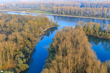Vue aérienne de Embouchure du Vieux Rhin à Leimersheim dans le département Rhénanie-Palatinat, Allemagne