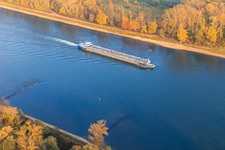 Vue aérienne de Pétrolier sur le Rhin à le quartier Rußheim in Dettenheim dans le département Bade-Wurtemberg, Allemagne