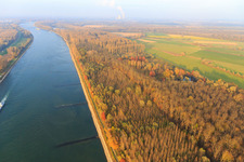 Vue aérienne de Épis au niveau normal du Rhin à Germersheim dans le département Rhénanie-Palatinat, Allemagne