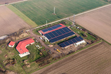 Vue aérienne de Aussiedlerhof à Erlenbach bei Kandel dans le département Rhénanie-Palatinat, Allemagne