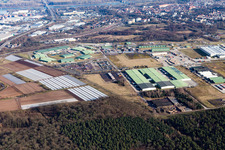 Vue aérienne de Dépôt de l'armée à Germersheim dans le département Rhénanie-Palatinat, Allemagne