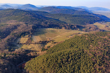 Vue aérienne de Vignobles d'hiver dans la réserve naturelle de Haardtrand-Wolfsteig à Pleisweiler-Oberhofen dans le département Rhénanie-Palatinat, Allemagne