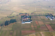 Vue aérienne de Geilweilerhof à Siebeldingen dans le département Rhénanie-Palatinat, Allemagne