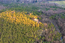Vue oblique de Chapelle de la Protection de Marie sur le Wetterkreuzberg à Maikammer dans le département Rhénanie-Palatinat, Allemagne