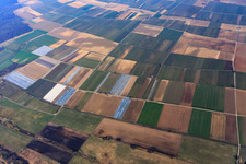 Vue aérienne de Plantation fruitière et champs dans la vallée de Tiefen à le quartier Mühlhofen in Billigheim-Ingenheim dans le département Rhénanie-Palatinat, Allemagne