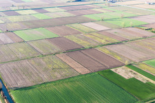 Vue aérienne de California dans le département Frioul-Vénétie Julienne, Italie