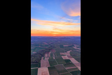 Vue aérienne de Coucher de soleil dans la plaine du Rhin à Niederhorbach dans le département Rhénanie-Palatinat, Allemagne