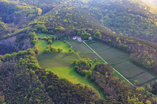 Vue aérienne de Domaine viticole Odinstal à Wachenheim an der Weinstraße dans le département Rhénanie-Palatinat, Allemagne