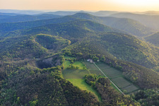 Vue aérienne de Domaine viticole Odinstal à Wachenheim an der Weinstraße dans le département Rhénanie-Palatinat, Allemagne