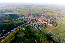 Vue aérienne de Wachtenburg (ruine du « château de Wachenheim ») à Wachenheim an der Weinstraße dans le département Rhénanie-Palatinat, Allemagne
