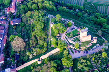 Vue oblique de Wachtenburg (ruine du « château de Wachenheim ») à Wachenheim an der Weinstraße dans le département Rhénanie-Palatinat, Allemagne