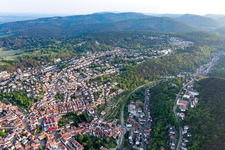 Vue aérienne de Quatre ans de vignerons à le quartier Seebach in Bad Dürkheim dans le département Rhénanie-Palatinat, Allemagne