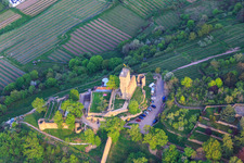 Mur défensif du Wachtenburg (ruine « Château Wachenheim ») à le quartier Wachenheim in Wachenheim an der Weinstraße dans le département Rhénanie-Palatinat, Allemagne d'en haut
