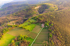 Vue aérienne de Lac de basalte dans la réserve naturelle de Pechsteinkopf, près de l'ancienne carrière de basalte de Forster à le quartier Forst in Forst an der Weinstraße dans le département Rhénanie-Palatinat, Allemagne