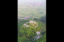 Quartier Diedesfeld in Neustadt an der Weinstraße dans le département Rhénanie-Palatinat, Allemagne vue du ciel