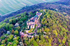 Vue aérienne de Ruines et vestiges du mur de l'ancien complexe du château de Madenburg au printemps à Eschbach dans le département Rhénanie-Palatinat, Allemagne