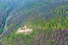 Vue aérienne de Ruines de Landeck avec parapentes à Klingenmünster dans le département Rhénanie-Palatinat, Allemagne