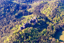 Vue aérienne de Ruines du château d'Altdahn à Dahn dans le département Rhénanie-Palatinat, Allemagne