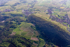 Vue aérienne de Haardtrand Wolfsteig à Pleisweiler-Oberhofen dans le département Rhénanie-Palatinat, Allemagne