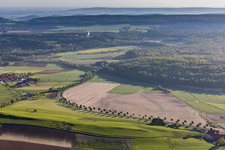 Vue aérienne de Rangée d'arbres le long d'une route de campagne au bord d'un champ à Capellenhagen à le quartier Fölziehausen in Duingen dans le département Basse-Saxe, Allemagne