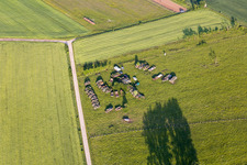 Photographie aérienne de Camions militaires à Vibersviller dans le département Moselle, France
